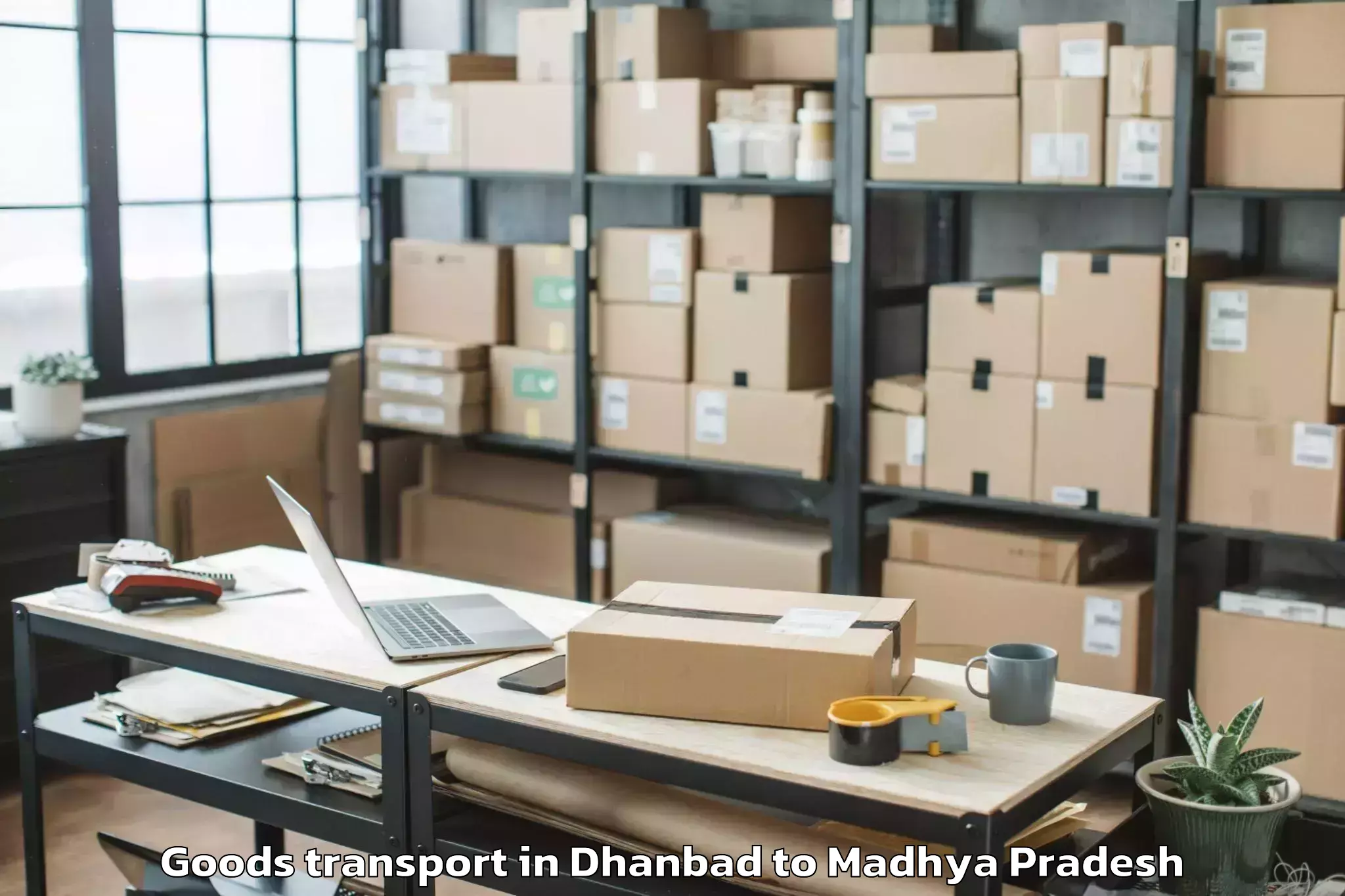 Top Dhanbad to Sailana Goods Transport Available